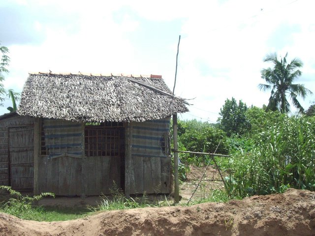 IMGP0523.jpg