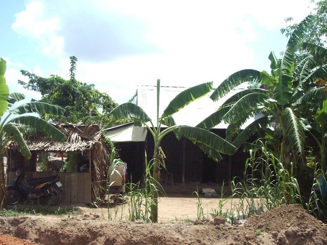IMGP0524.jpg