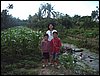 IMGP0518.jpg
