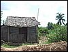 IMGP0523.jpg