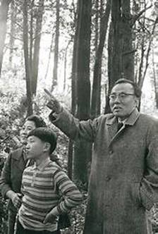 関連画像の詳細を表示