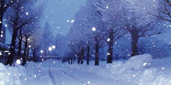 雪」と「霰」「雹」「霙」の違いは? | 1分で読める!! [ 違いは? ]