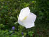 06162006 020.jpg (54254 bytes)