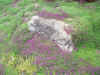 06162006 038.jpg (185680 bytes)