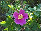 05282005 Hana-03.jpg