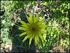 05282005 Hana-05.jpg
