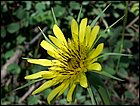 05282005 Hana-06.jpg