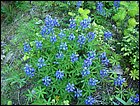 05282005 Hana-08.jpg