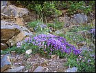 05282005 Hana-09.jpg