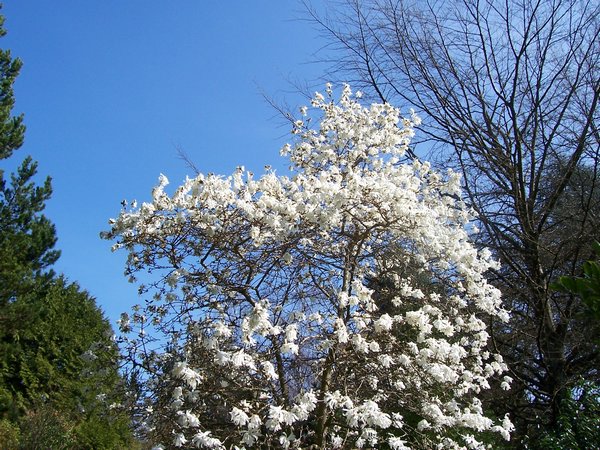 03102005 062.jpg