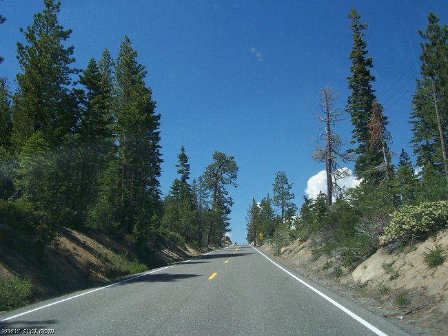 07062005 057.jpg