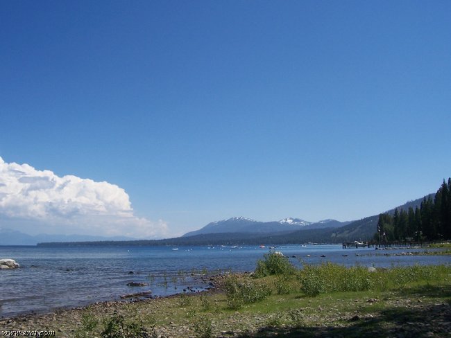 07062005 069.jpg