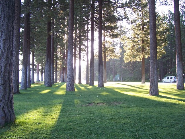07072005 022.jpg