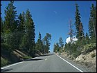 07062005 057.jpg