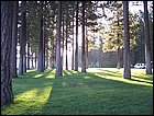 07072005 022.jpg