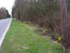 03212004 020-80.JPG (82985 bytes)