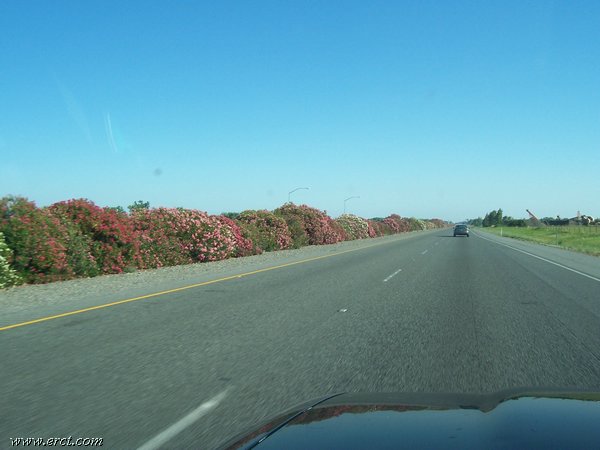 07052005 186.jpg