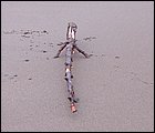 07052005 034-2.JPG