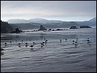 07052005 036.jpg
