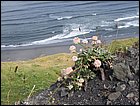 07052005 090.jpg