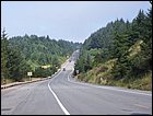 07052005 142.jpg
