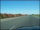 07052005 186.jpg