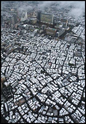Tokyo 1.jpg