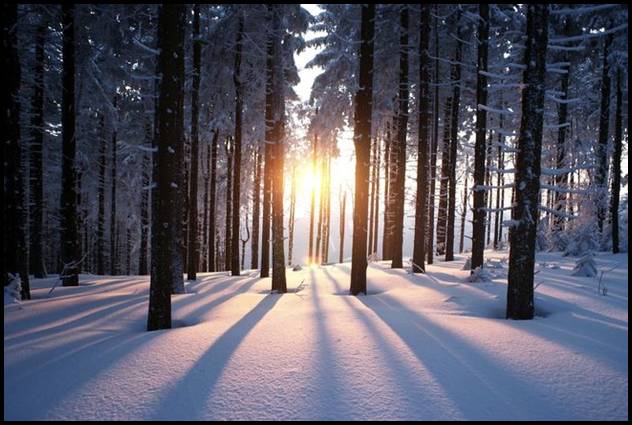 36463840-pictures-of-winter.jpg