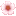 🌸
