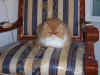 03042004- 048.jpg (164239 bytes)