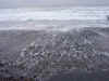 03042004- 064.jpg (184592 bytes)