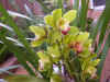 03042004- 106.jpg (181166 bytes)