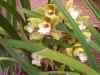 03042004- 108.jpg (184823 bytes)