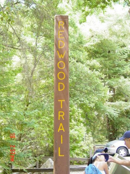 07192003-09-Camping_071903_029.jpg