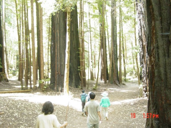 07192003-16-On_The_Trail1.jpg