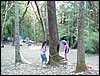 07192003-03-O_day_cung_co_vong_nua.jpg