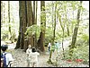 07192003-17-On_The_Trail2.jpg