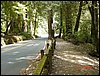 07192003-22-Ben_Duong_Thien_Ly.jpg