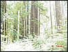 07192003-23-Ben_Duong_Thien_Ly3.jpg