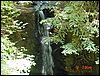 07192003-26-Suoi_Tien.jpg