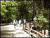 07192003-27-Yatto_Kita_Banzai.jpg