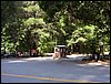 07192003_1167-90.JPG
