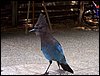 07192003_1170-90.JPG