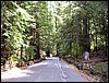 07192003_1178-90.JPG