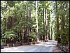 07192003_1180-90.JPG