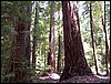 07192003_1191-90.JPG