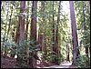 07192003_1194-90.JPG