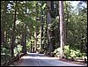 07192003_1196-90.JPG