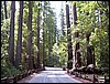 07192003_1198-90.JPG