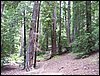 07192003_1203-90.JPG